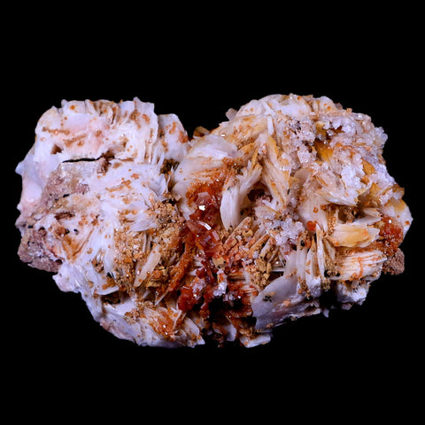 3.8" Sparkly Red Vanadinite Crystals On Orange Barite Blades Mineral Morocco - Fossil Age Minerals