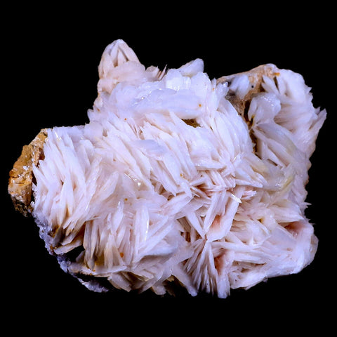XL 4.1" White Crystal Barite Blades Mineral Specimen Mabladen Morocco - Fossil Age Minerals