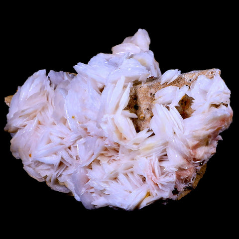 XL 4.1" White Crystal Barite Blades Mineral Specimen Mabladen Morocco - Fossil Age Minerals