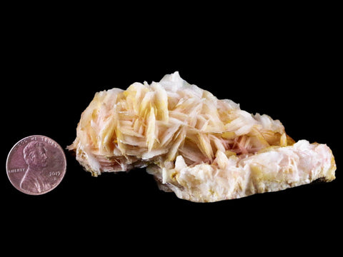 3.2" White, Orange Barite Blades Crystal Mineral Mabladen Morocco 4.8 OZ - Fossil Age Minerals