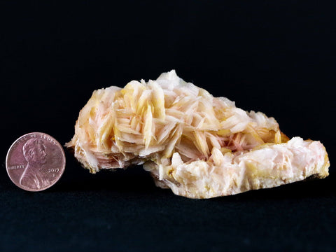 3.2" White, Orange Barite Blades Crystal Mineral Mabladen Morocco 4.8 OZ - Fossil Age Minerals