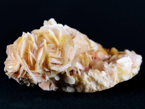 3.2" White, Orange Barite Blades Crystal Mineral Mabladen Morocco 4.8 OZ - Fossil Age Minerals