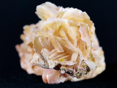 3.2" White, Orange Barite Blades Crystal Mineral Mabladen Morocco 4.8 OZ - Fossil Age Minerals