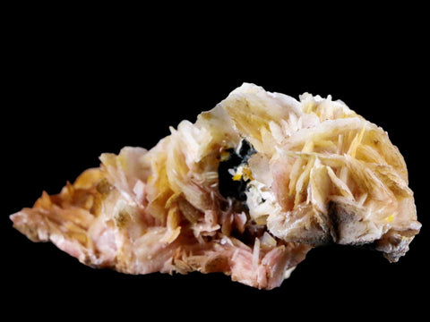 3.2" White, Orange Barite Blades Crystal Mineral Mabladen Morocco 4.8 OZ - Fossil Age Minerals