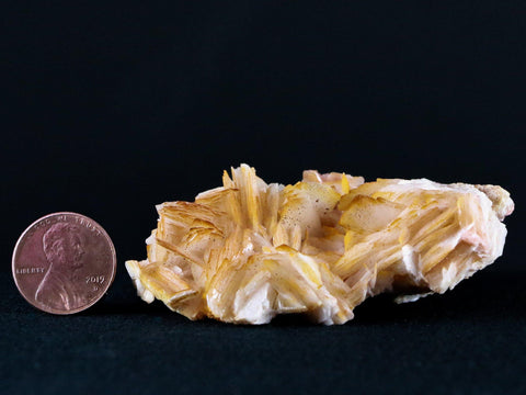 2.6" White, Orange Barite Blades Crystal Mineral Mabladen Morocco 4 OZ - Fossil Age Minerals