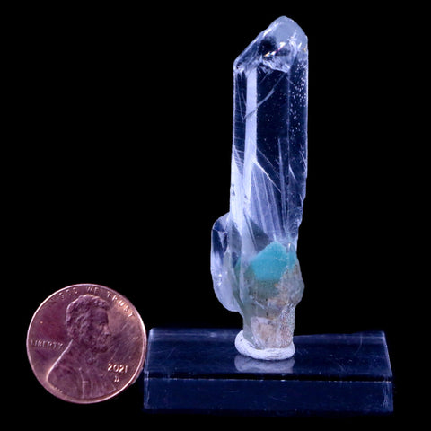 2.1" Natural Clear Crystal Quartz Point With Green Fuchsite Inside Stand - Fossil Age Minerals