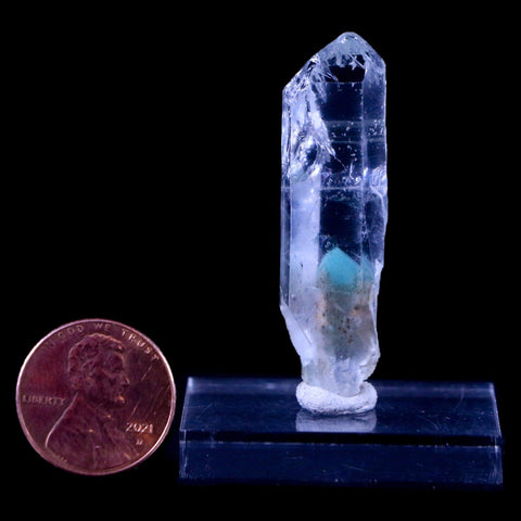 1.8" Natural Clear Crystal Quartz Point With Green Fuchsite Inside Stand - Fossil Age Minerals