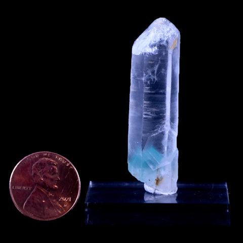 1.8" Natural Clear Crystal Quartz Point With Green Fuchsite Inside Stand - Fossil Age Minerals