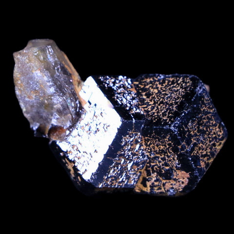 1.3" Natural Rough Schorl Black Tourmaline Mineral Erongo Mountains, Namibia - Fossil Age Minerals