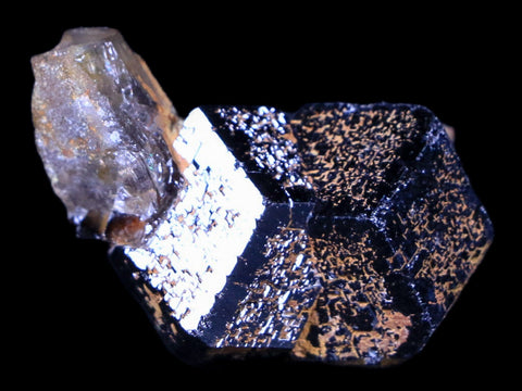 1.3" Natural Rough Schorl Black Tourmaline Mineral Erongo Mountains, Namibia - Fossil Age Minerals