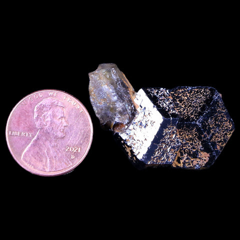 1.3" Natural Rough Schorl Black Tourmaline Mineral Erongo Mountains, Namibia - Fossil Age Minerals