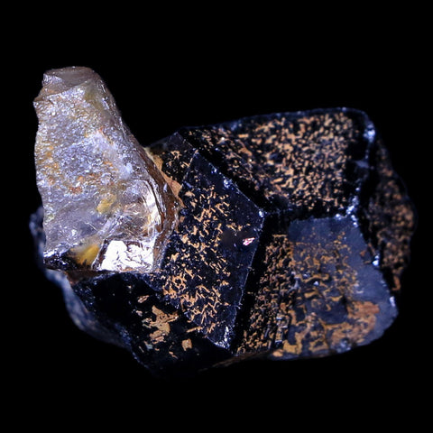 1.3" Natural Rough Schorl Black Tourmaline Mineral Erongo Mountains, Namibia - Fossil Age Minerals
