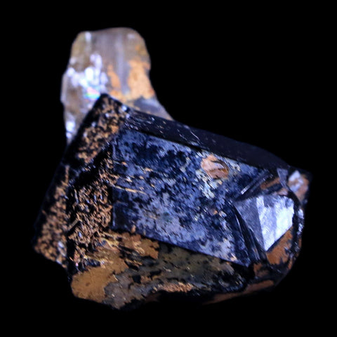 1.3" Natural Rough Schorl Black Tourmaline Mineral Erongo Mountains, Namibia - Fossil Age Minerals