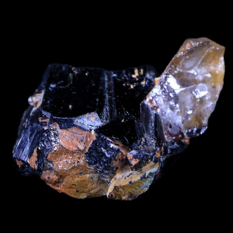 1.3" Natural Rough Schorl Black Tourmaline Mineral Erongo Mountains, Namibia - Fossil Age Minerals