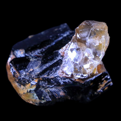 1.3" Natural Rough Schorl Black Tourmaline Mineral Erongo Mountains, Namibia - Fossil Age Minerals