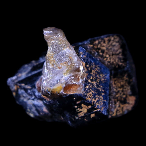 1.3" Natural Rough Schorl Black Tourmaline Mineral Erongo Mountains, Namibia - Fossil Age Minerals