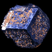 1.5" Natural Rough Schorl Black Tourmaline Mineral Erongo Mountains, Namibia