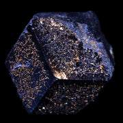 1.2" Natural Rough Schorl Black Tourmaline Mineral Erongo Mountains, Namibia