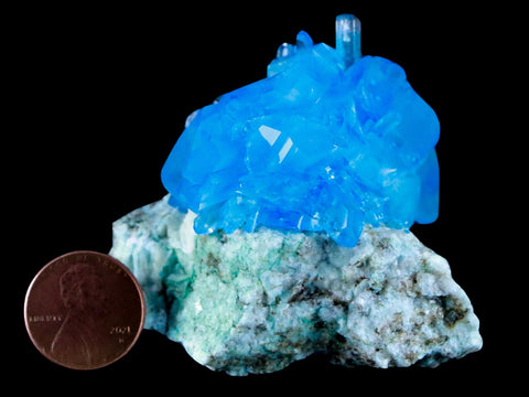 2.6" Stunning Bright Blue Arcanite Crystal Mineral Sokolowski Location Poland - Fossil Age Minerals