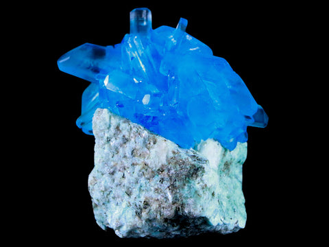 2.6" Stunning Bright Blue Arcanite Crystal Mineral Sokolowski Location Poland - Fossil Age Minerals