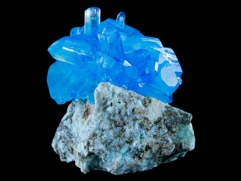 2.6" Stunning Bright Blue Arcanite Crystal Mineral Sokolowski Location Poland - Fossil Age Minerals