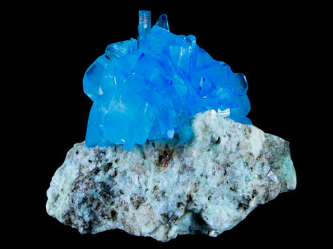 2.6" Stunning Bright Blue Arcanite Crystal Mineral Sokolowski Location Poland - Fossil Age Minerals