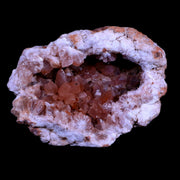 XL 4.7" Pink Amethyst Geode Half Crystal Cluster El Chioque Mine Patagonia Argentina