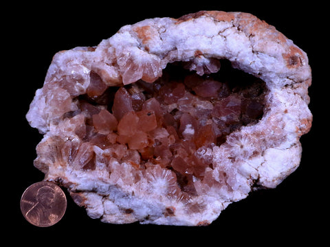 XL 4.7" Pink Amethyst Geode Half Crystal Cluster El Chioque Mine Patagonia Argentina - Fossil Age Minerals
