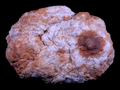 XL 4.7" Pink Amethyst Geode Half Crystal Cluster El Chioque Mine Patagonia Argentina - Fossil Age Minerals