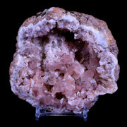 XL 3.8" Pink Amethyst Geode Half Crystal Cluster El Chioque Mine Patagonia Argentina