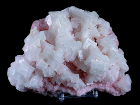 5.6" Quality Pink Halite Salt Crystals Cluster Mineral Trona, CA Searles Lake Stand