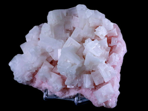 5.6" Quality Pink Halite Salt Crystals Cluster Mineral Trona, CA Searles Lake Stand - Fossil Age Minerals