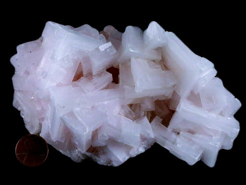 5.4" Quality Pink Halite Salt Crystals Cluster Mineral Trona, CA Searles Lake 1 LB 3.9 OZ - Fossil Age Minerals