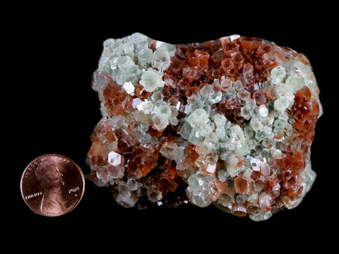 2.8" Aragonite Two Tone Crystal Cluster Free Form Mineral Specimen 9.5 OZ Morocco - Fossil Age Minerals