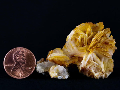 1.9" Orange Barite Blades Crystal Mineral Specimen Mabladen Morocco 1.4 OZ - Fossil Age Minerals