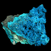 3.2" Chrysocolla Malachite Rare Botryoidal Grape Crystal Teal And Green From Peru