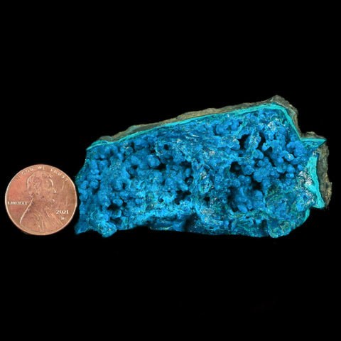 2.8" Chrysocolla Malachite Rare Botryoidal Grape Crystal Teal And Green From Peru - Fossil Age Minerals