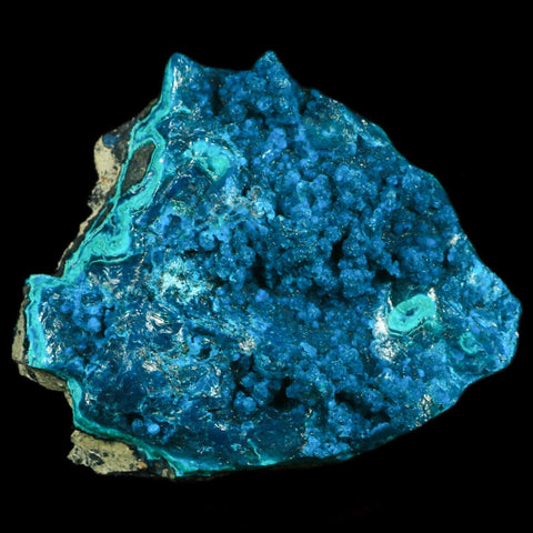 2.2" Chrysocolla Malachite Rare Botryoidal Grape Crystal Teal And Green From Peru - Fossil Age Minerals