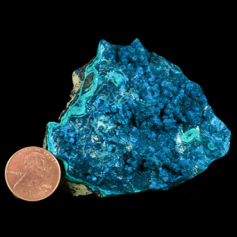 2.2" Chrysocolla Malachite Rare Botryoidal Grape Crystal Teal And Green From Peru - Fossil Age Minerals