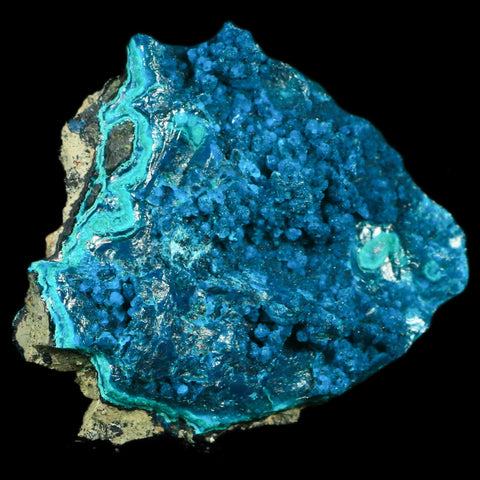 2.2" Chrysocolla Malachite Rare Botryoidal Grape Crystal Teal And Green From Peru - Fossil Age Minerals