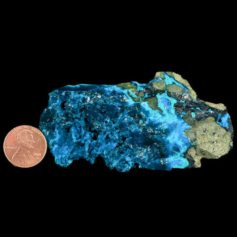 3.3" Chrysocolla Malachite Rare Botryoidal Grape Crystal Teal And Green From Peru - Fossil Age Minerals