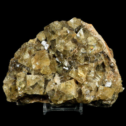 XL 5.1" Natural Yellow Fluorite Cube Crystals On Quartz Crystals Mineral Morocco - Fossil Age Minerals