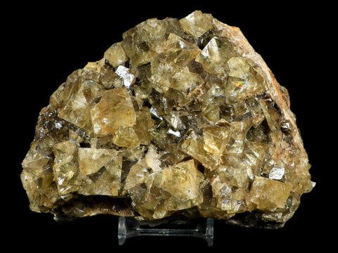 XL 5.1" Natural Yellow Fluorite Cube Crystals On Quartz Crystals Mineral Morocco - Fossil Age Minerals