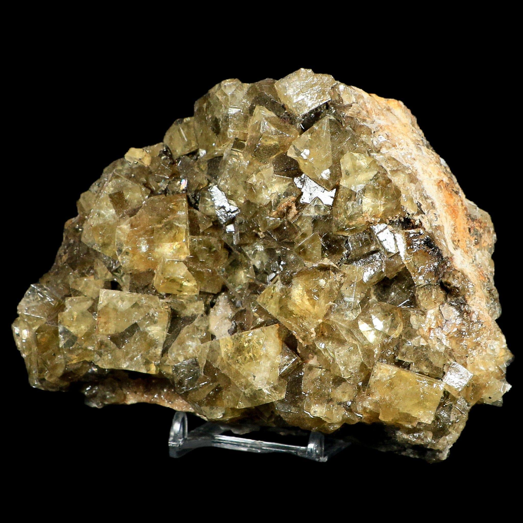 XL 5.1" Natural Yellow Fluorite Cube Crystals On Quartz Crystals Mineral Morocco - Fossil Age Minerals
