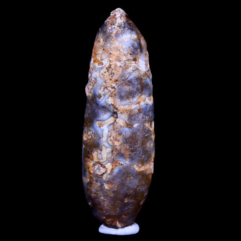 XL 2.1" Fossil Pine Cone Equicalastrobus Replaced By Agate Eocene Age Seeds Fruit - Fossil Age Minerals