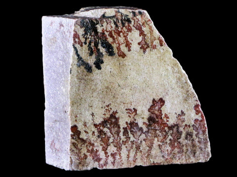 Dendritic Free-Form Slab Branching Manganese Iron Oxide Dendrite Utah 5.6 OZ - Fossil Age Minerals