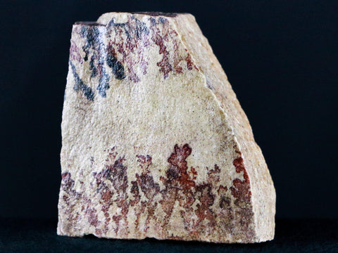 Dendritic Free-Form Slab Branching Manganese Iron Oxide Dendrite Utah 5.6 OZ - Fossil Age Minerals