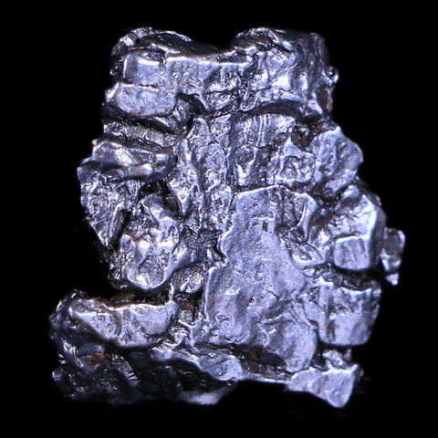 Campo Del Cielo Meteorite Specimen Riker Display Argentina Meteorites 12.4 Grams - Fossil Age Minerals