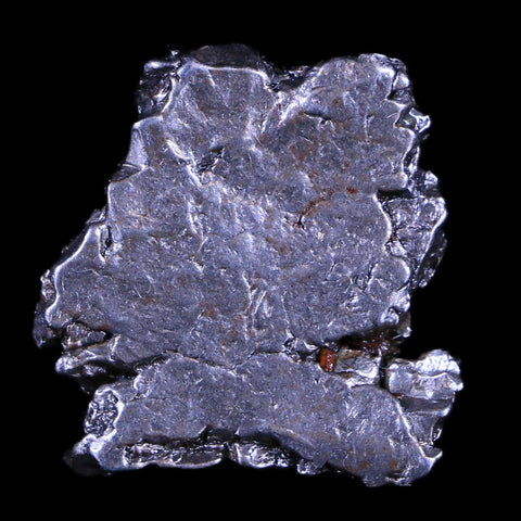 Campo Del Cielo Meteorite Specimen Riker Display Argentina Meteorites 12.4 Grams - Fossil Age Minerals