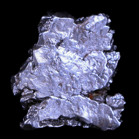 Campo Del Cielo Meteorite Specimen Riker Display Argentina Meteorites 12.4 Grams - Fossil Age Minerals